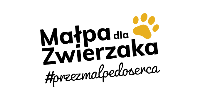 Małpa dla zwierzaka