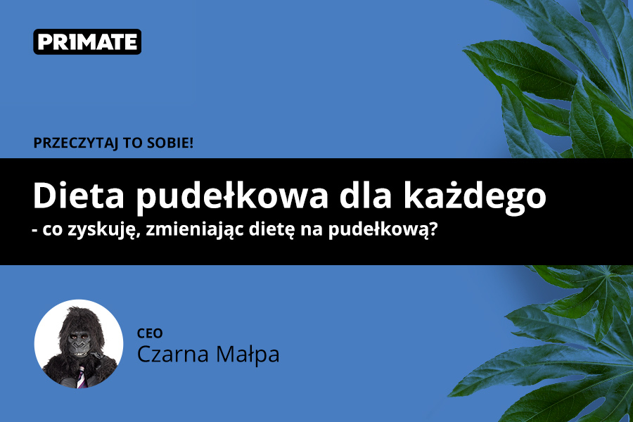 Dieta pudełkowa: co zyskam, zmieniając dietę na pudełkową?